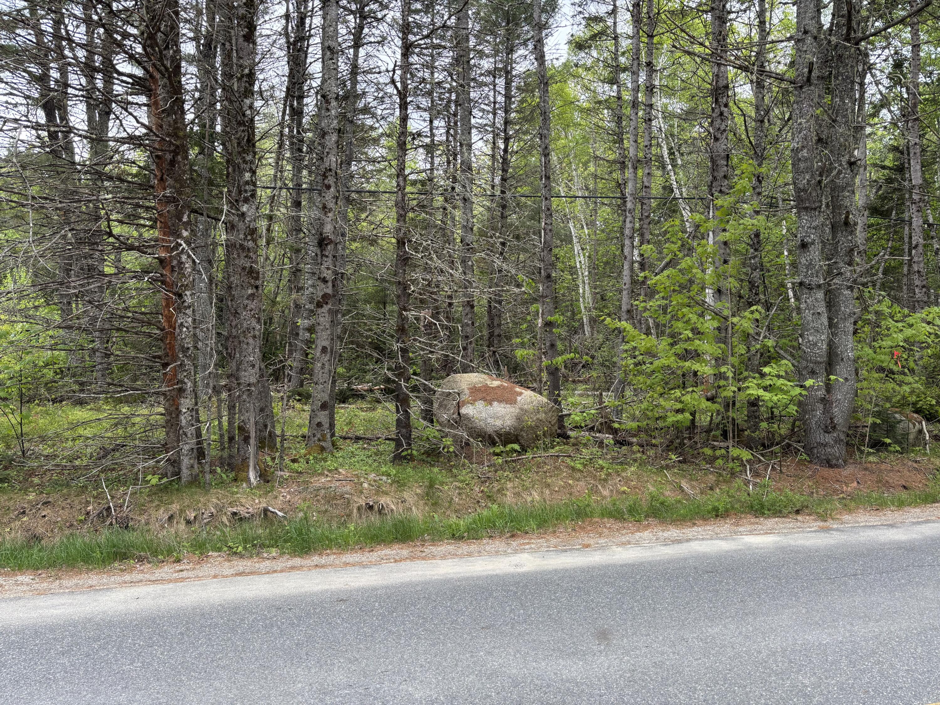 Lot# 4-7 Lot#4-7 Macomber Mill Road Eastbrook, ME 04634 - Photo 5 of 16 Front-right