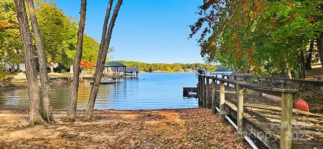 a view of a tree in front of a house with a yard