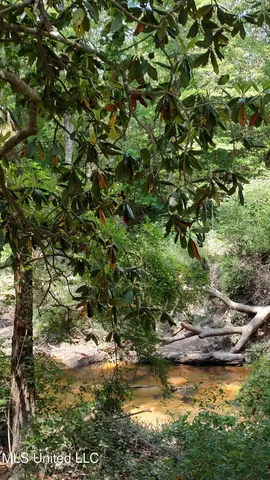 $239,900 | 110 Rosenbaum Drive, Poplarville, MS 39470