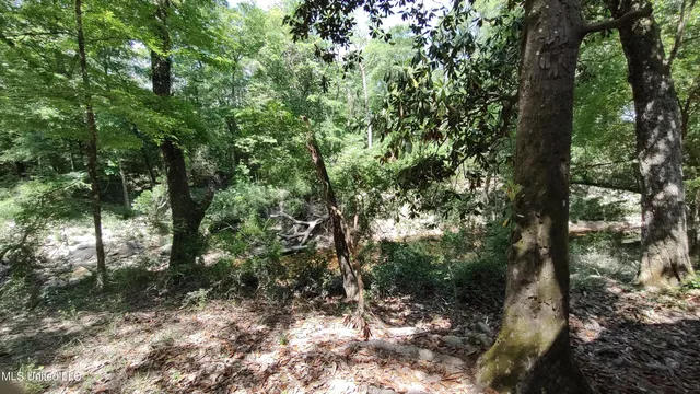 $239,900 | 110 Rosenbaum Drive, Poplarville, MS 39470