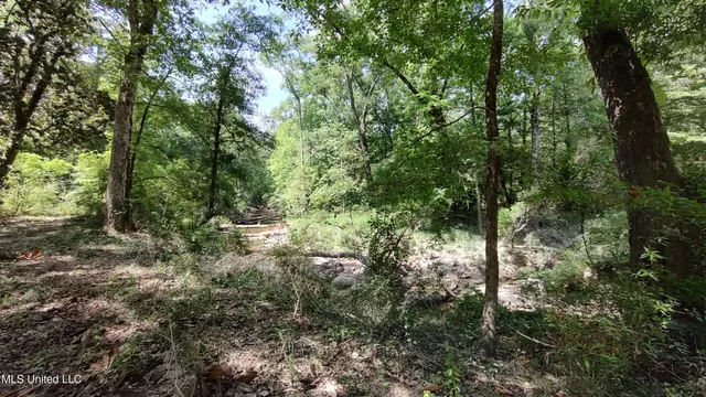 $239,900 | 110 Rosenbaum Drive, Poplarville, MS 39470