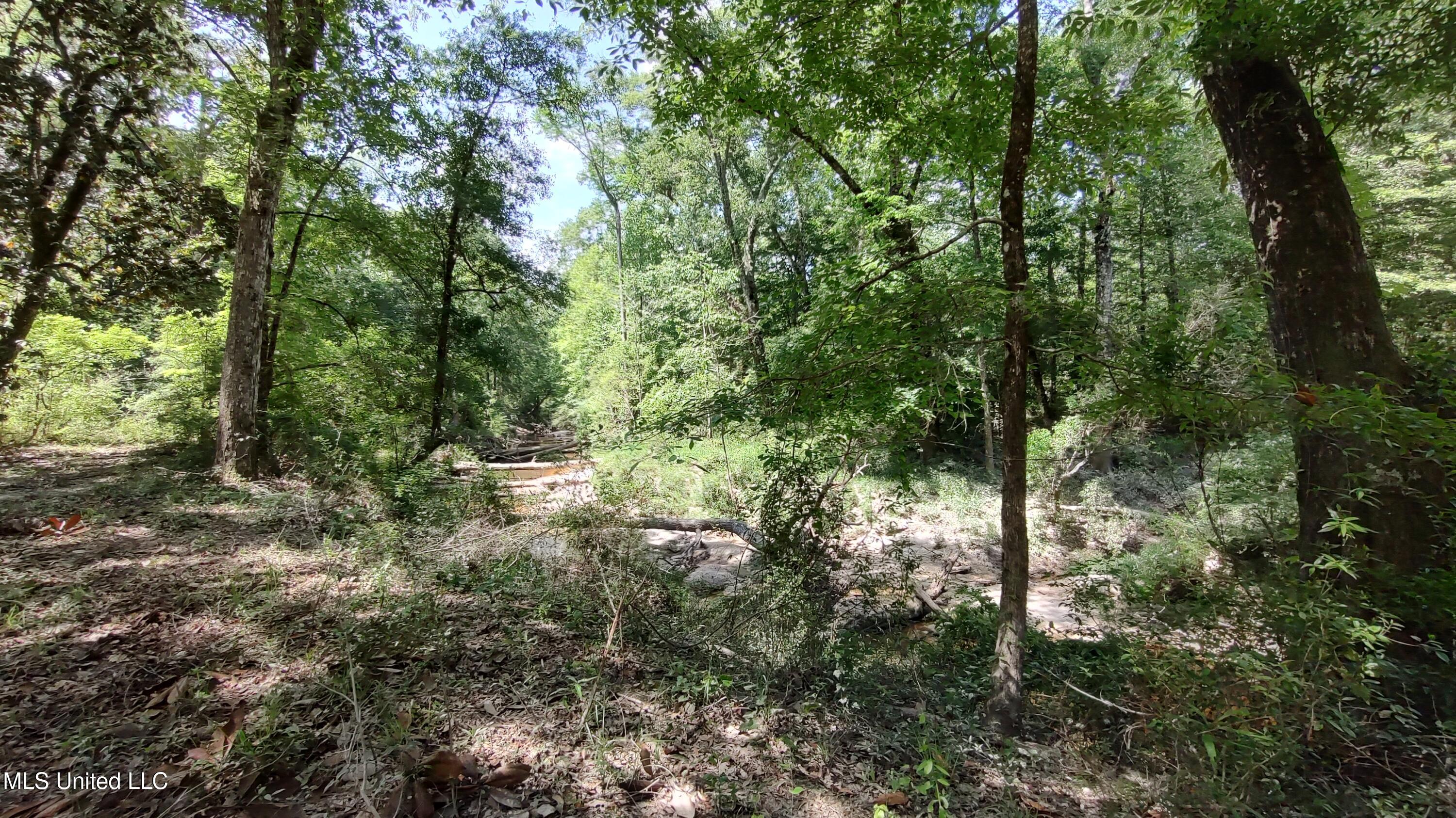 110 Rosenbaum Drive Poplarville, MS 39470 - Photo 37 of 39 Creek view 3