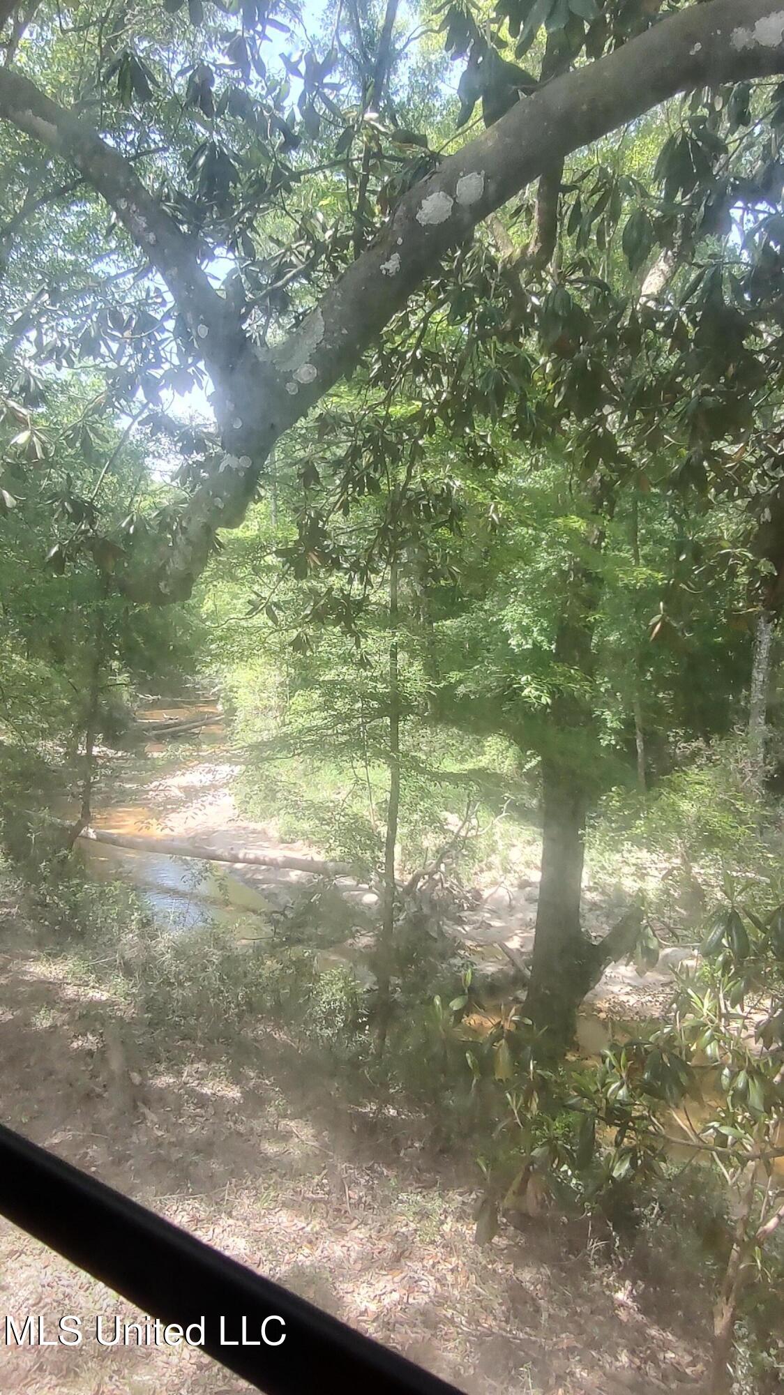 110 Rosenbaum Drive Poplarville, MS 39470 - Photo 38 of 39 Creek view