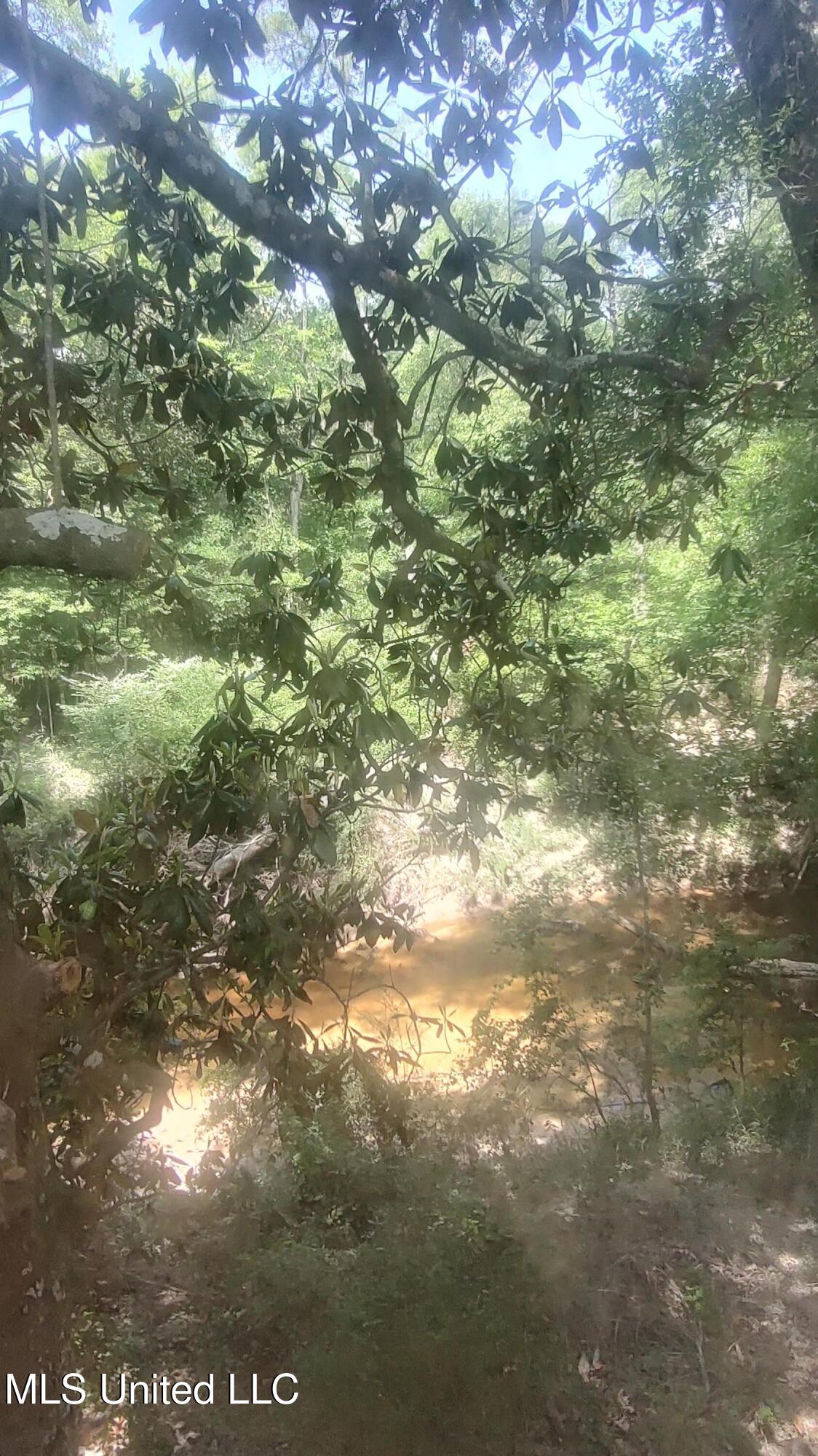 110 Rosenbaum Drive Poplarville, MS 39470 - Photo 39 of 39 Creek view