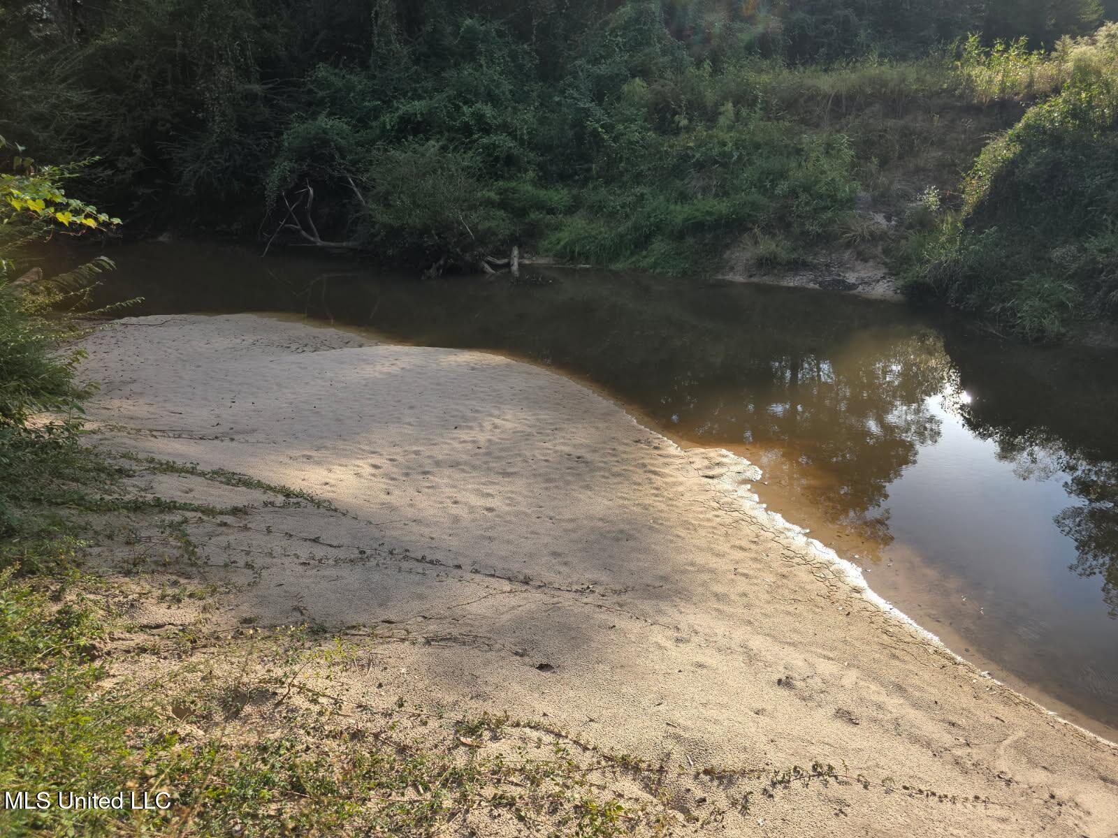 110 Rosenbaum Drive Poplarville, MS 39470 - Photo 5 of 39 Creek v2
