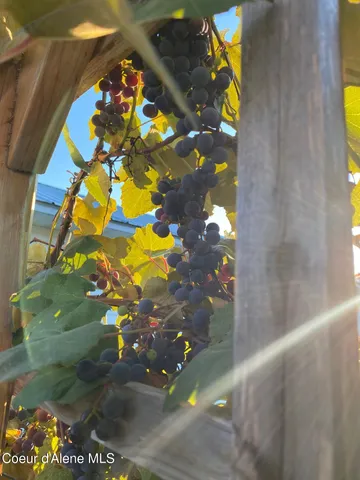 $465,000 | 71 Schissler Lane, Kootenai, ID 83864