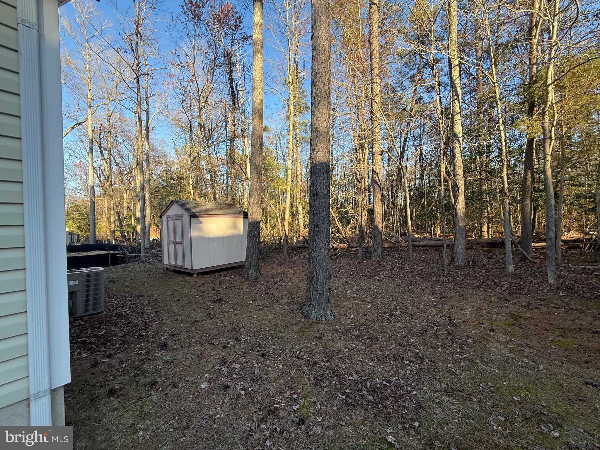 328 12th Street Colonial Beach, VA 22443 - Photo 17 of 19 a view of a backyard with large trees