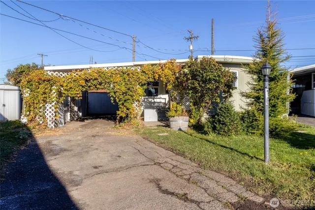 a night view of a backyard