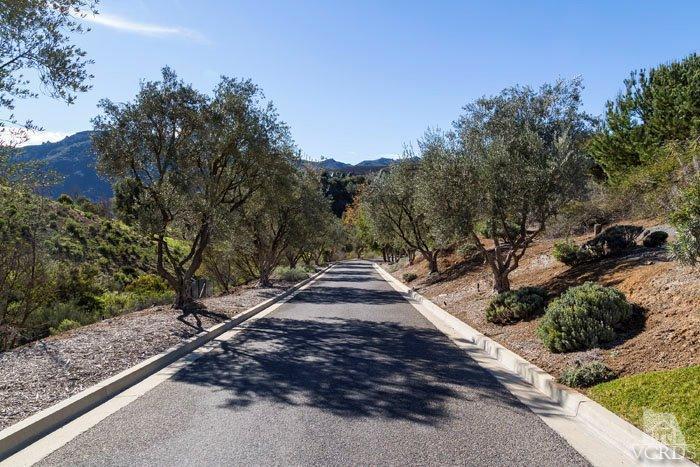 2300 White Stallion Road Thousand Oaks, CA 91361 - Photo 5 of 86 a view of a park with large trees