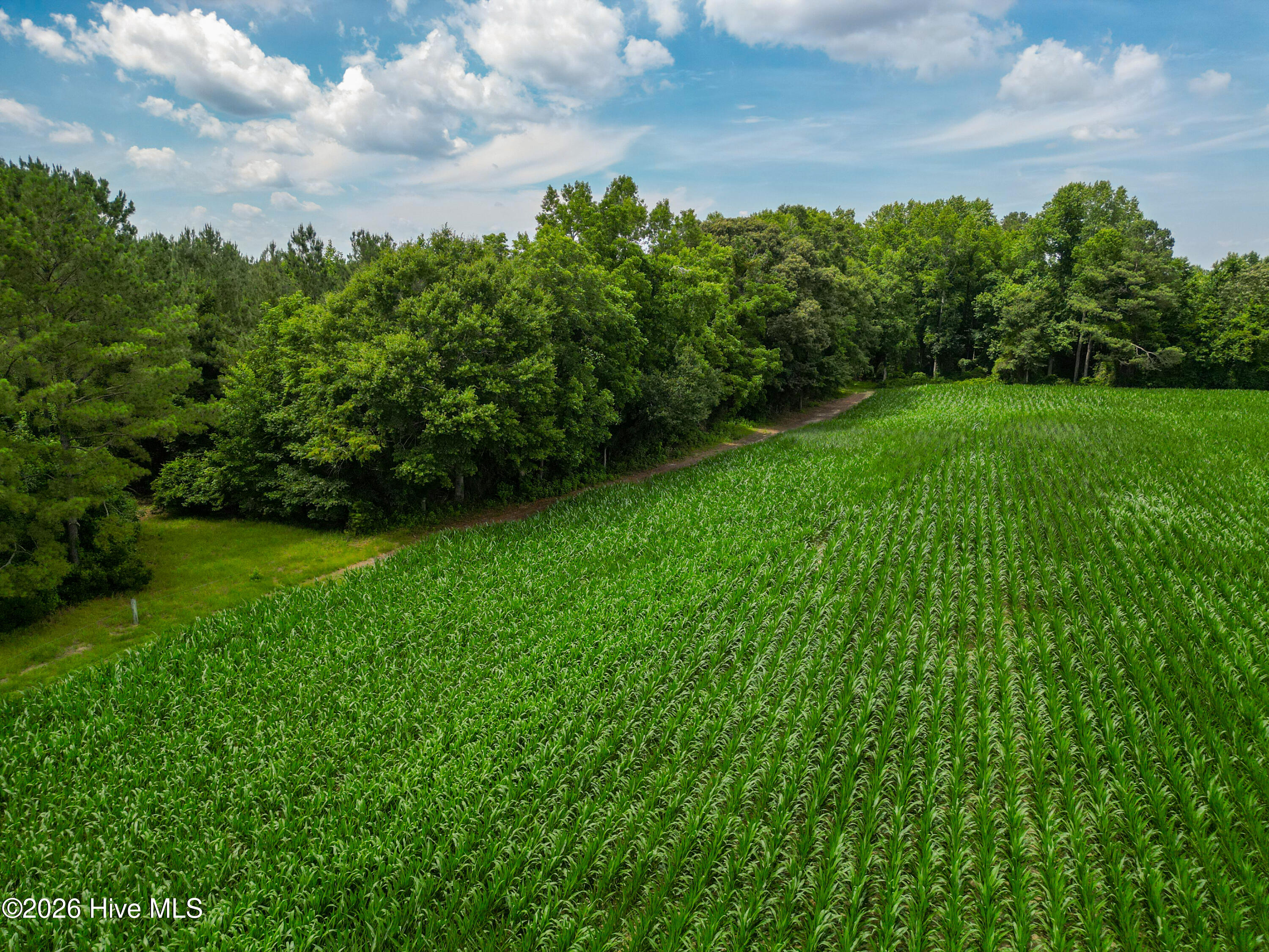 Tbd Farmers Union Road Clarkton, NC 28433 - Photo 11 of 13