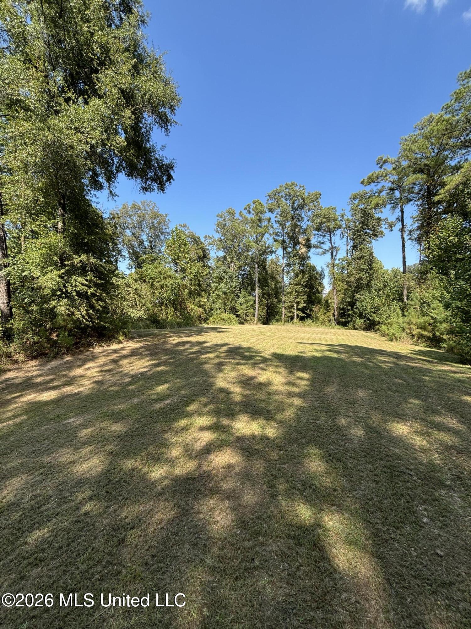 Tinsley Road Bentonia, MS 39040 - Photo 2 of 36 IMG_1428
