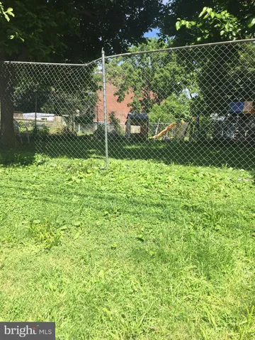 a view of a yard with plants