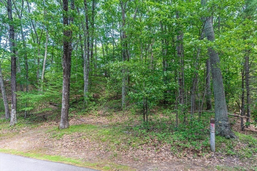 0 Alder Road Groton, MA 01450 - Photo 9 of 16