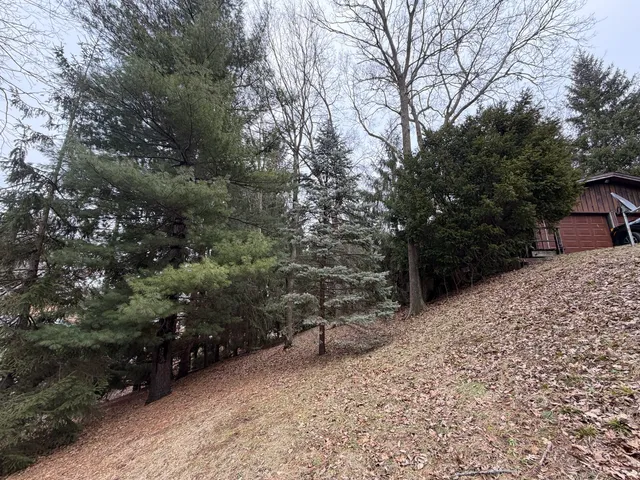 a view of a backyard with large trees