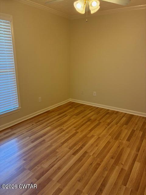 194 Rooker Drive Jackson, TN 38305 - Photo 14 of 20 IMG_4390
