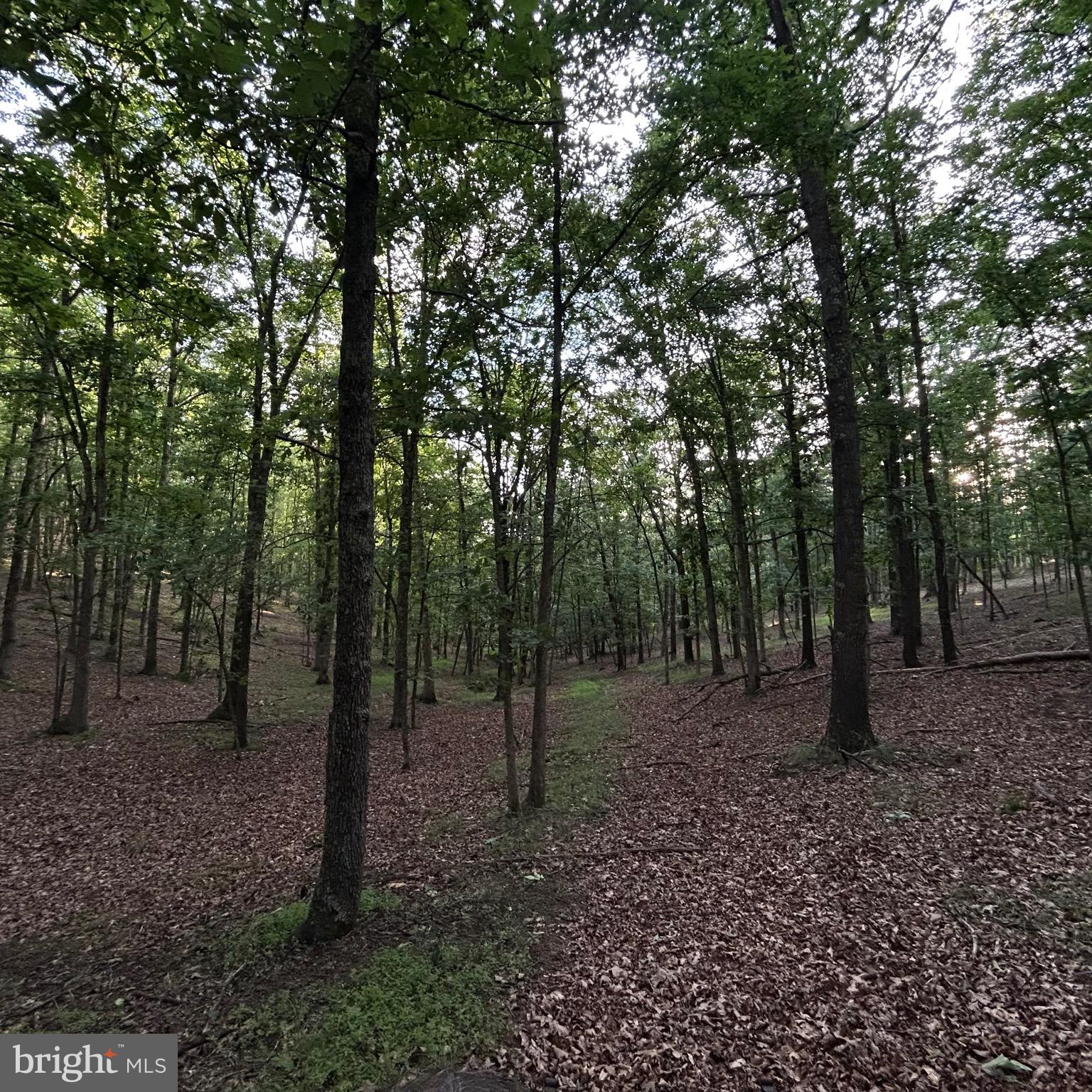 0 Headsville Road Keyser, WV 26726 - Photo 20 of 46
