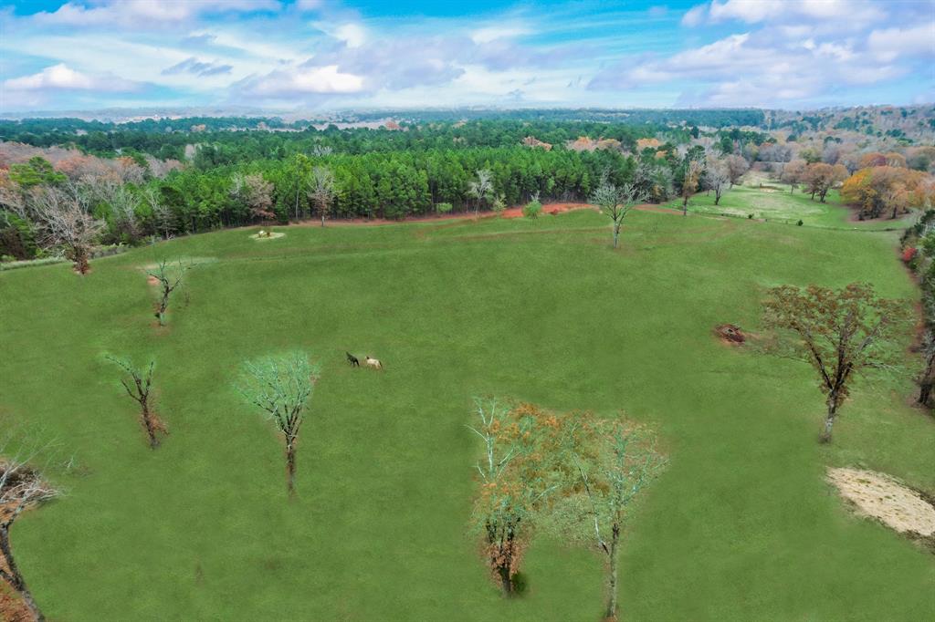 10794 County Road 334 Tyler, TX 75708 - Photo 5 of 40 a view of a green field with clear sky