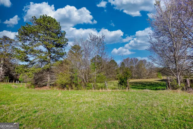 a view of a big yard with lots of green space