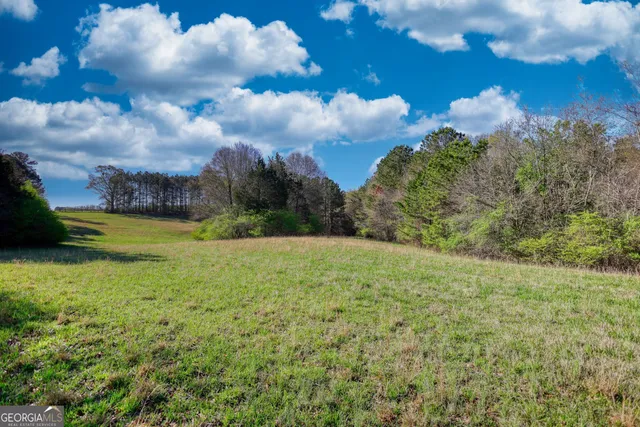 an aerial view of a house with a yard and large trees