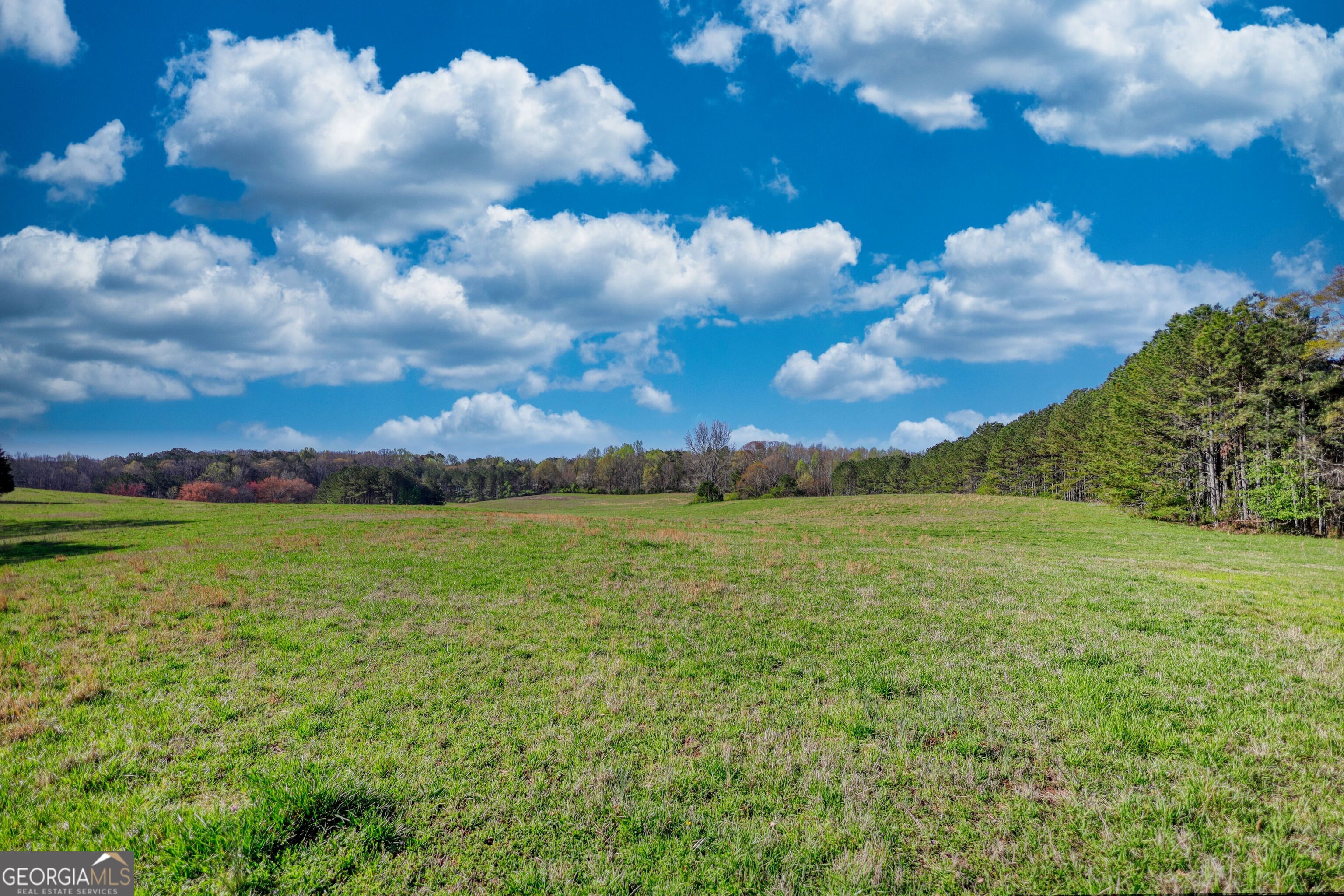 610 Loth Wages Road Dacula, GA 30019 - Photo 47 of 70 a view of a lake