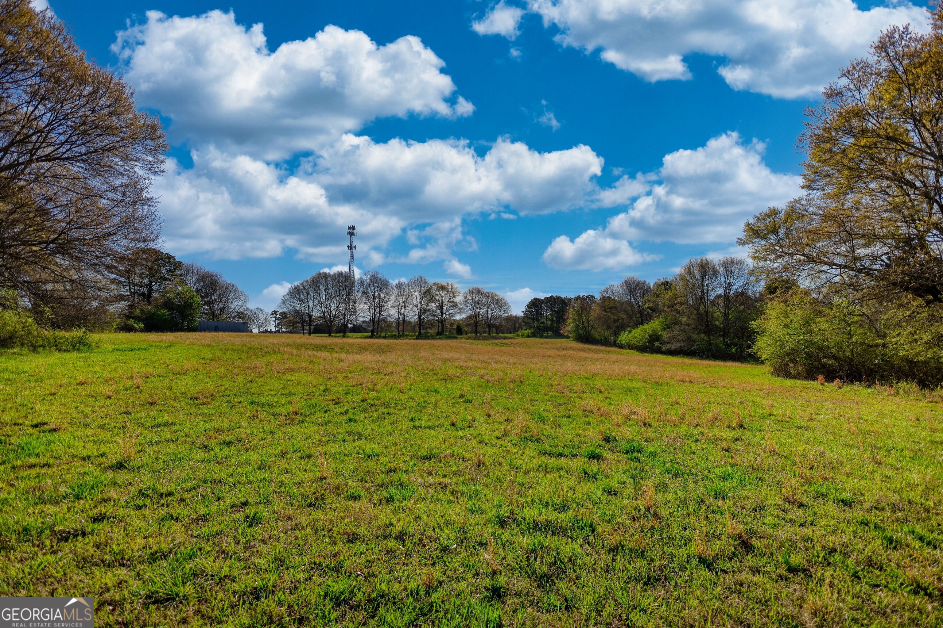 610 Loth Wages Road Dacula, GA 30019 - Photo 49 of 70 a view of a field with an trees in the background