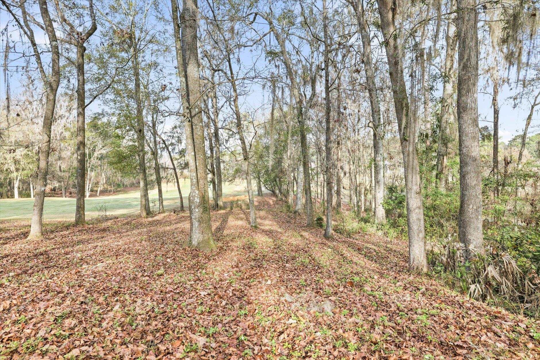 7628 Preservation Road Tallahassee, FL 32312 - Photo 36 of 70