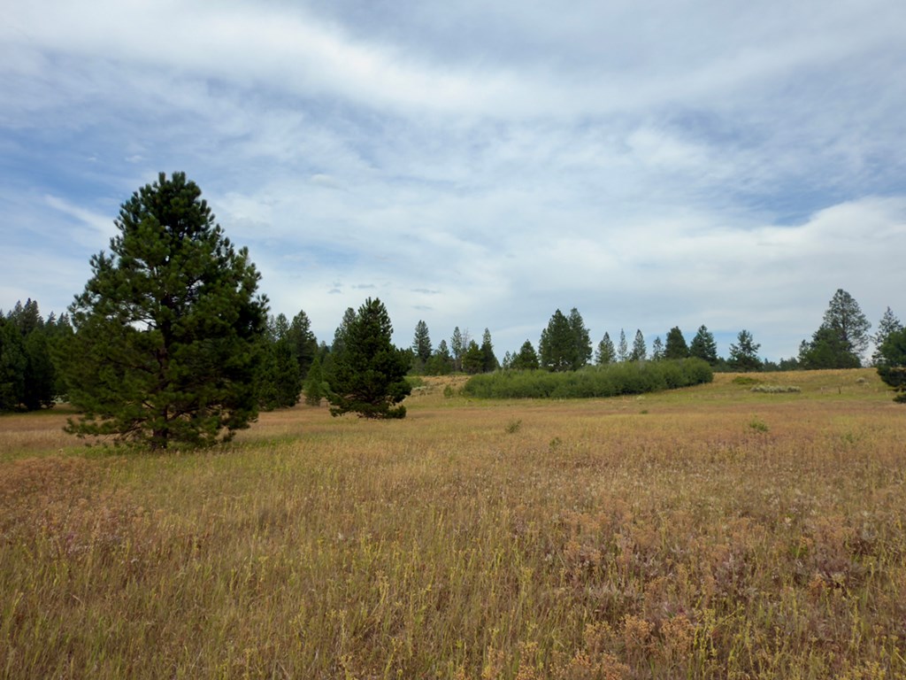2 Joshua Drive, Unit 1 Cascade, ID 83611 - Photo 11 of 17 Wildflowers and Wild Animals