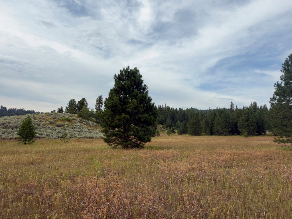 2 Joshua Drive, Unit 1 Cascade, ID 83611 - Photo 14 of 17 Own a Piece of Idaho