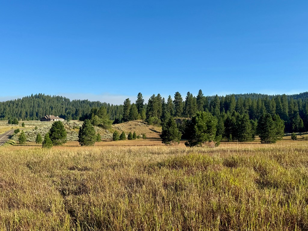 2 Joshua Drive, Unit 1 Cascade, ID 83611 - Photo 4 of 17 Imagine Your Dream Home Here
