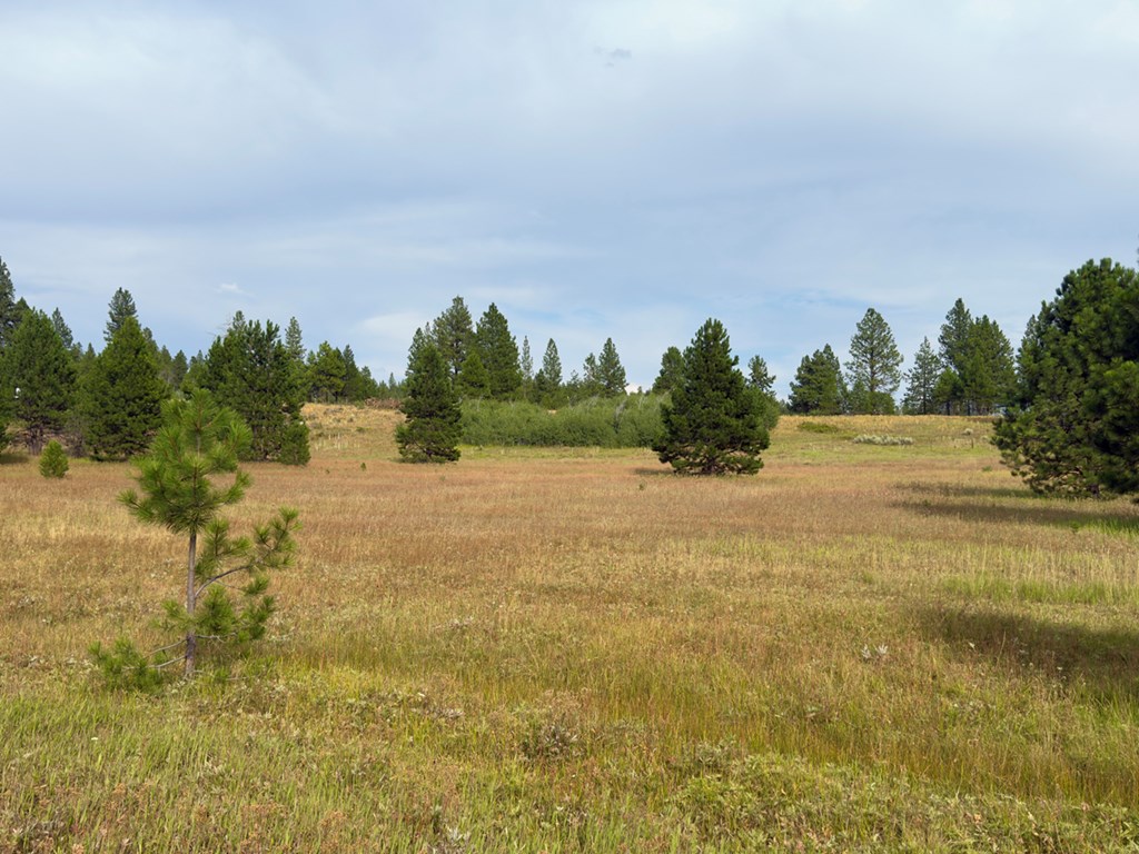 2 Joshua Drive, Unit 1 Cascade, ID 83611 - Photo 7 of 17 Room for Shop, too!