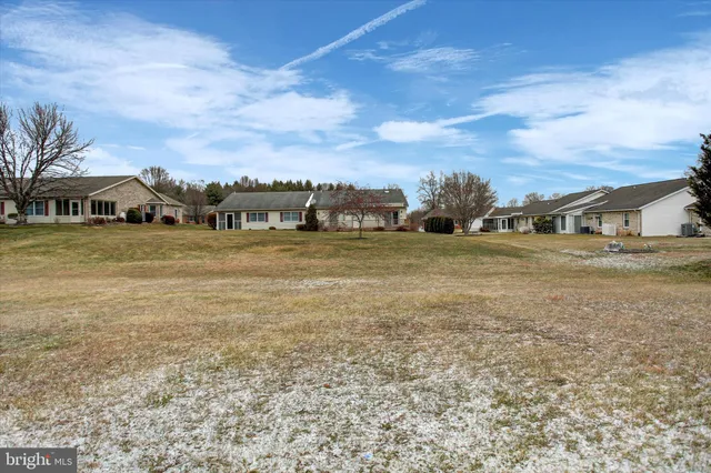 a view of a field with an ocean