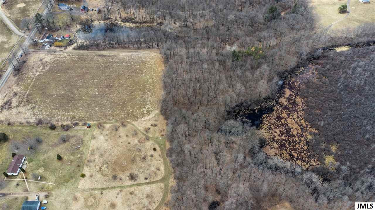 0 Henry Road Jackson, MI 49201 - Photo 6 of 18 Photo 6