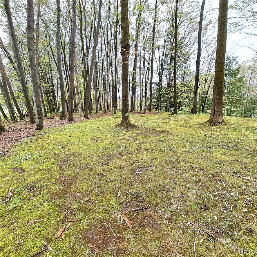 110 Ball Road Williamstown, NY 13493 - Photo 15 of 47