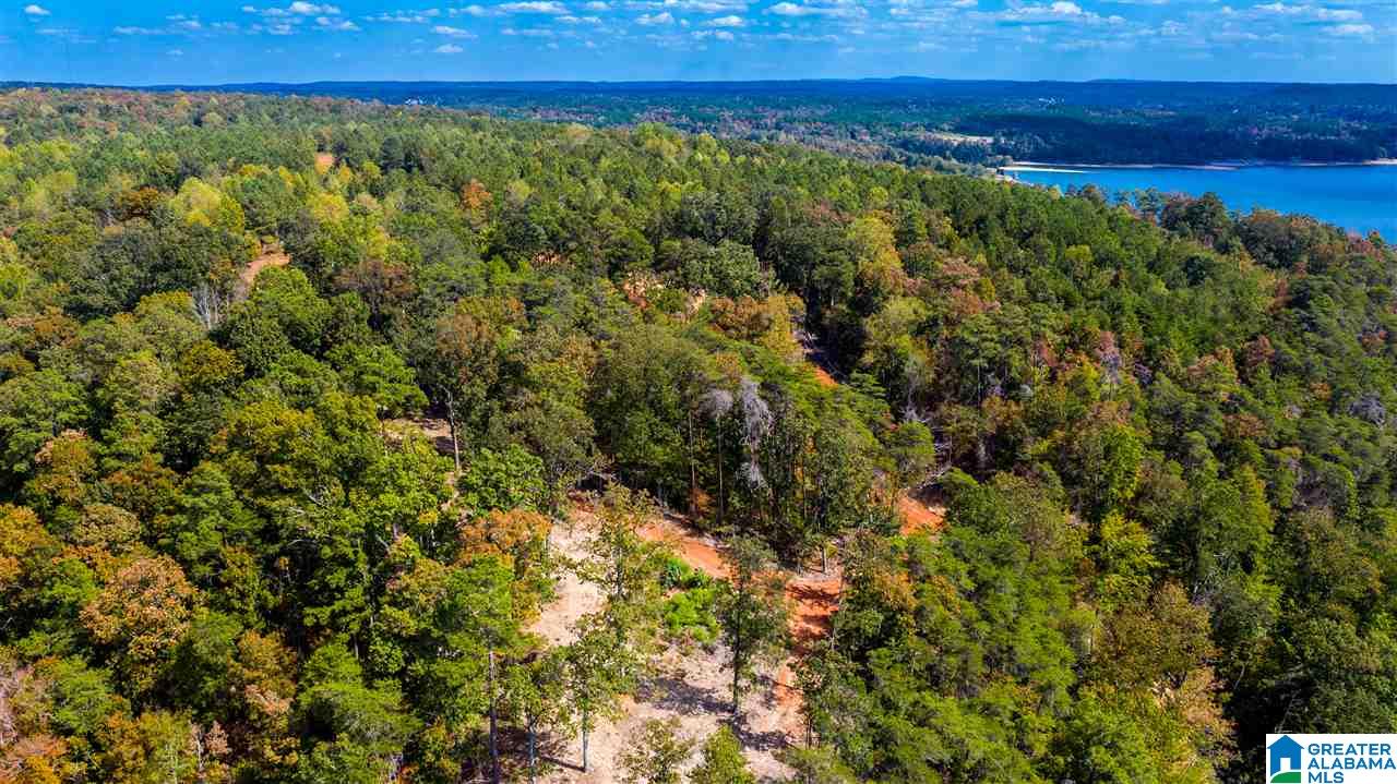 0 County Road 297 Cullman, AL 35057 - Photo 29 of 48