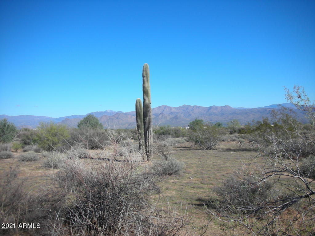 29329 North 170th Street, Unit 3 Rio Verde, AZ 85263 - Photo 1 of 12 cactus