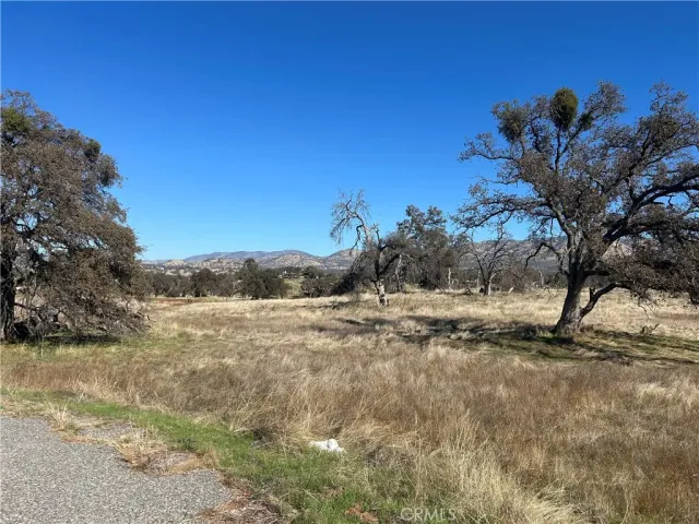 a view of a yard with a tree