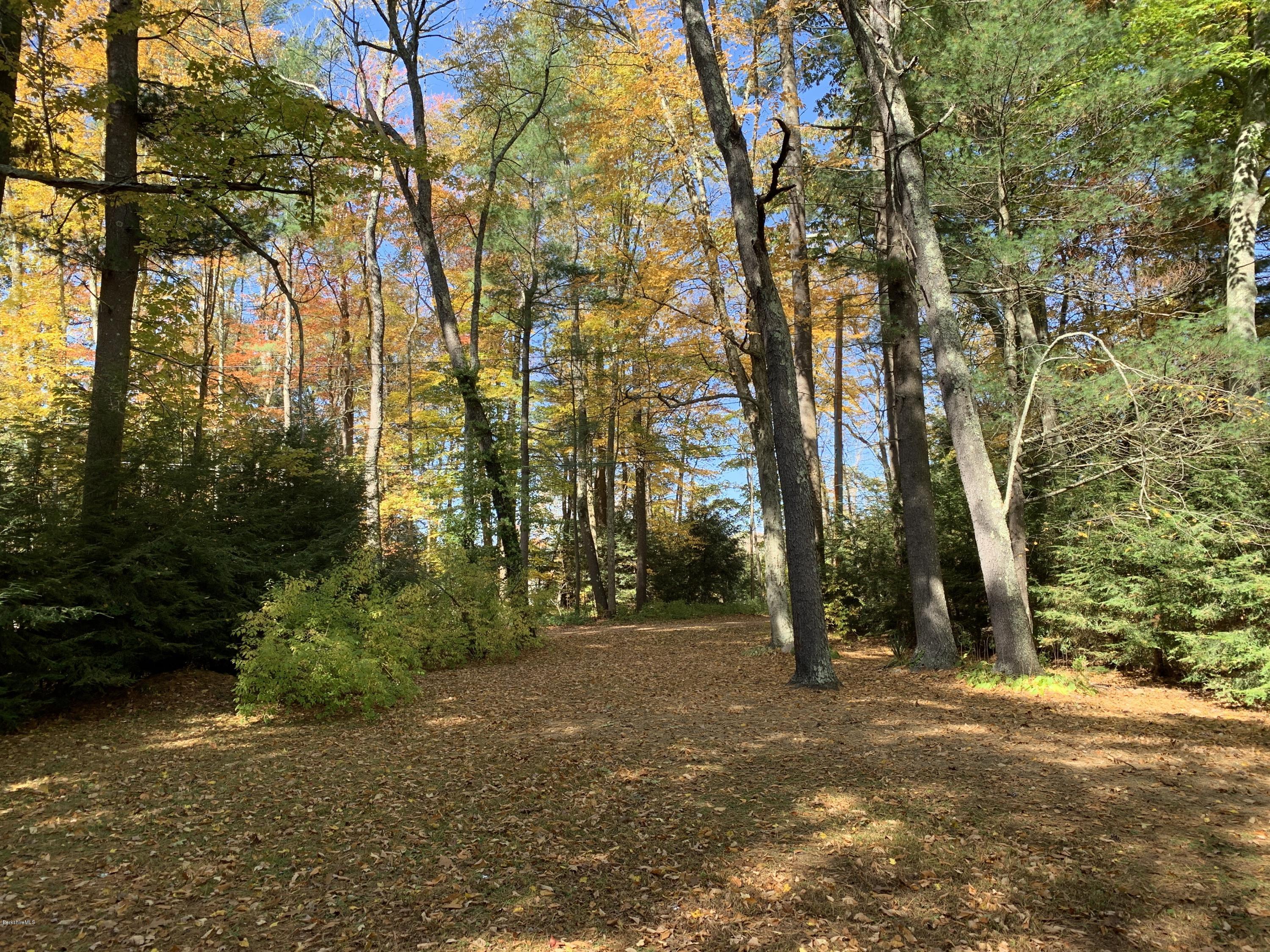 21 Point Road Monterey, MA 01245 - Photo 23 of 25 a view of outdoor space and trees