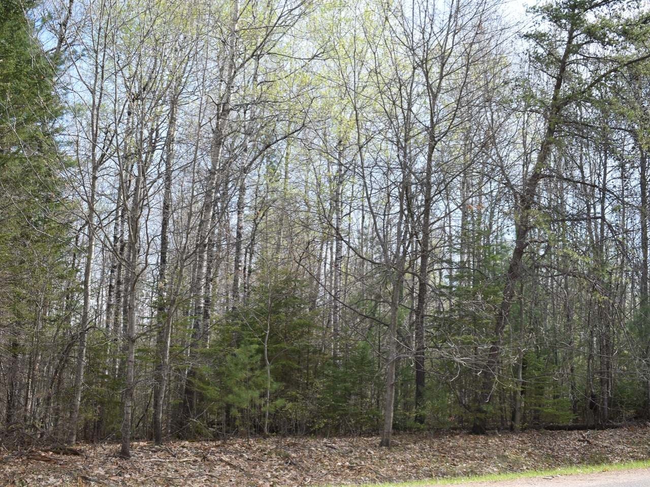Lot 2 Kings Road Tomahawk, WI 54487 - Photo 2 of 9 Gallery Image 2
