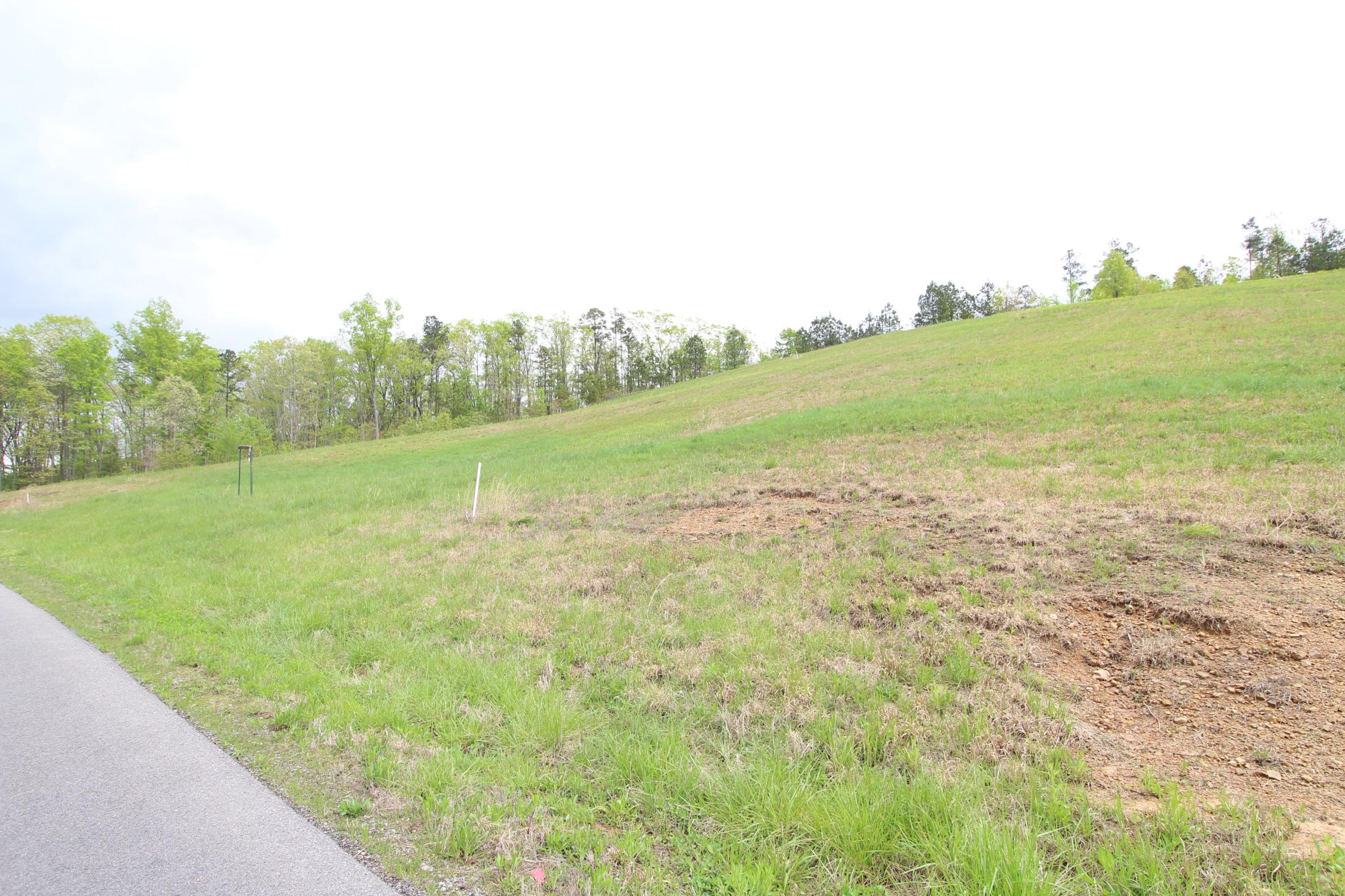 Lot 8 Northwest Van Davis Road Charleston, TN 37310 - Photo 3 of 6 IMG_0423