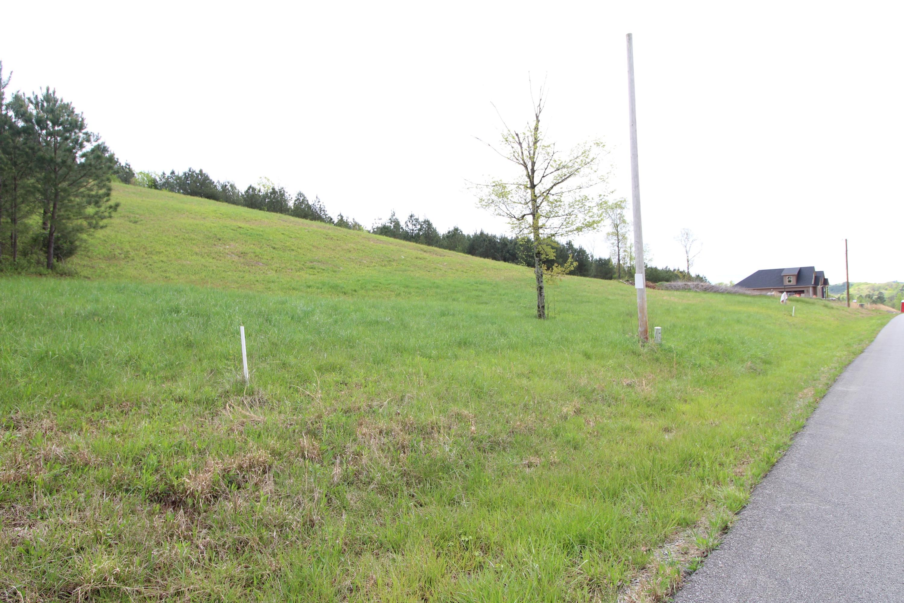 Lot 8 Northwest Van Davis Road Charleston, TN 37310 - Photo 5 of 6 IMG_0425