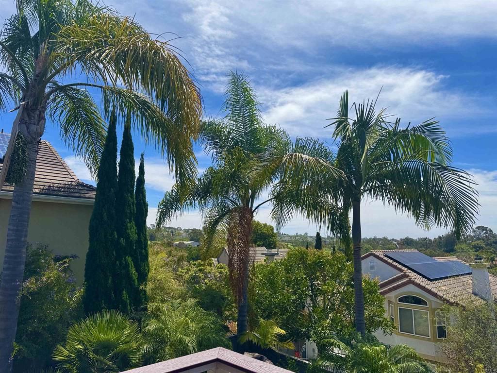 1157 Alexandra Lane Encinitas, CA 92024 - Photo 4 of 6