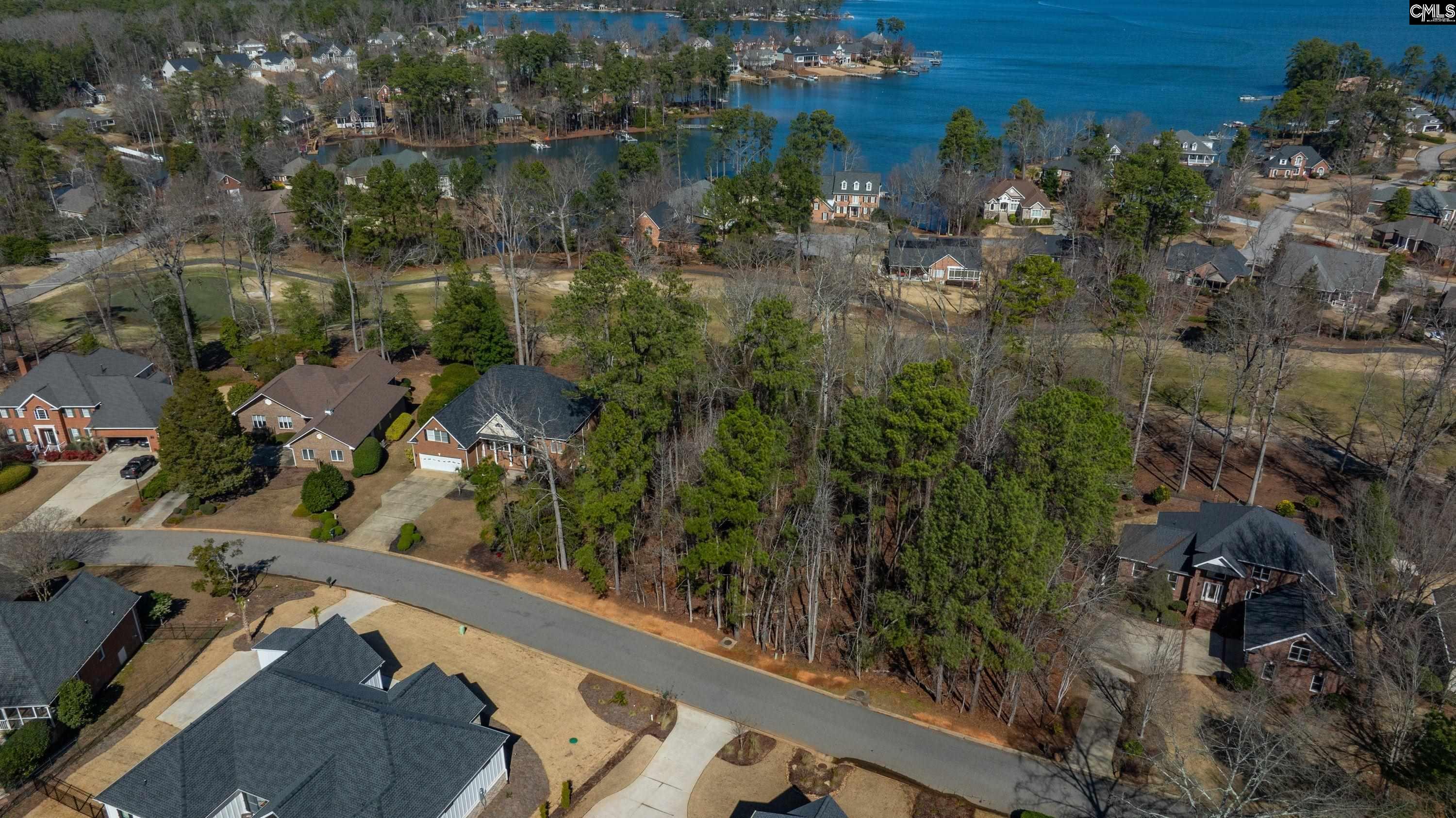 329 Oxenbridge Way Chapin, SC 29036 - Photo 5 of 29