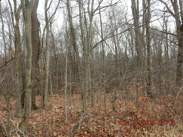 Creek Road Andover, OH 44003 - Photo 6 of 7 Gallery Image 6
