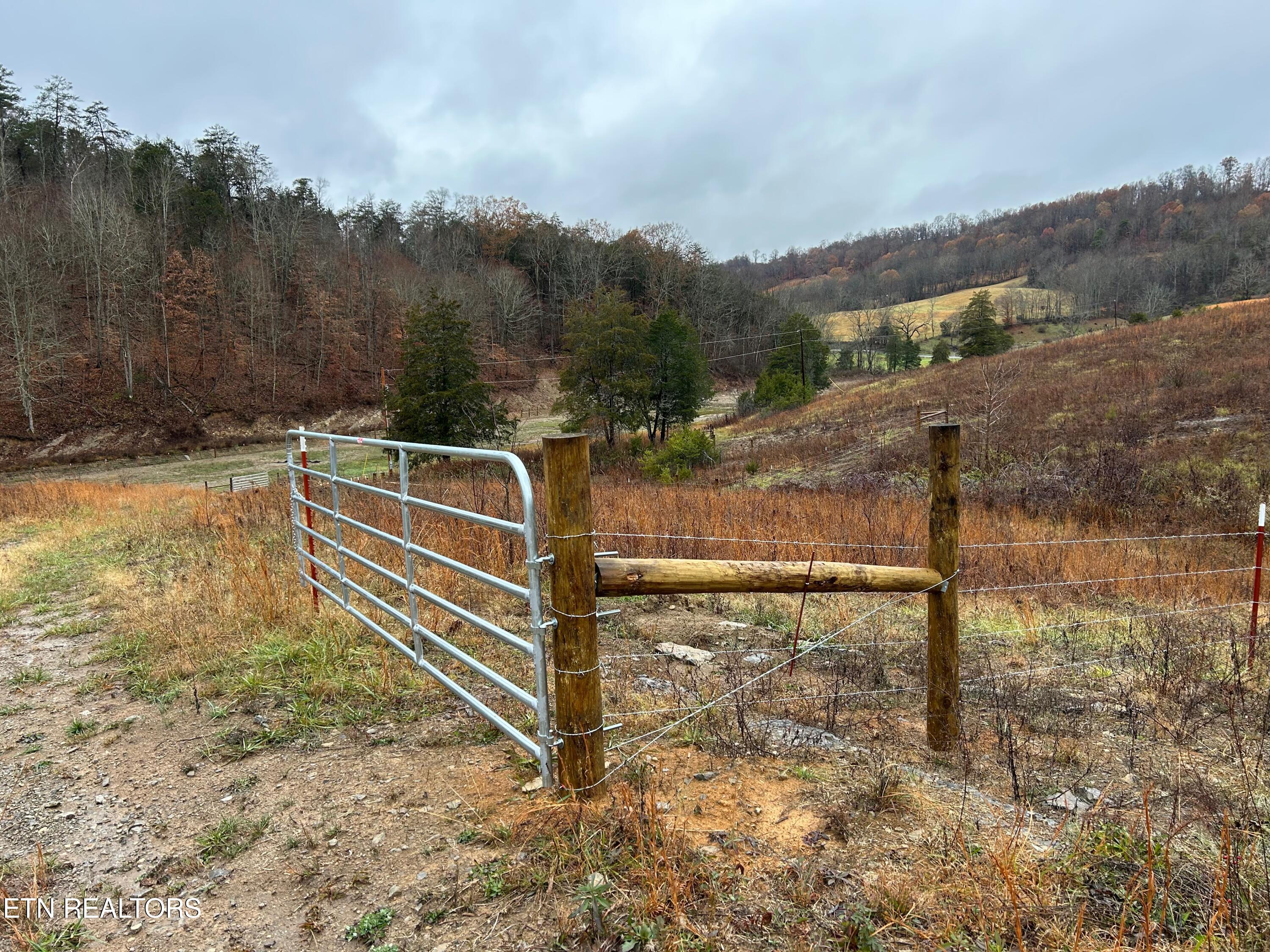 Tbd Trent Valley Road Sneedville, TN 37869 - Photo 11 of 14 IMG_4173
