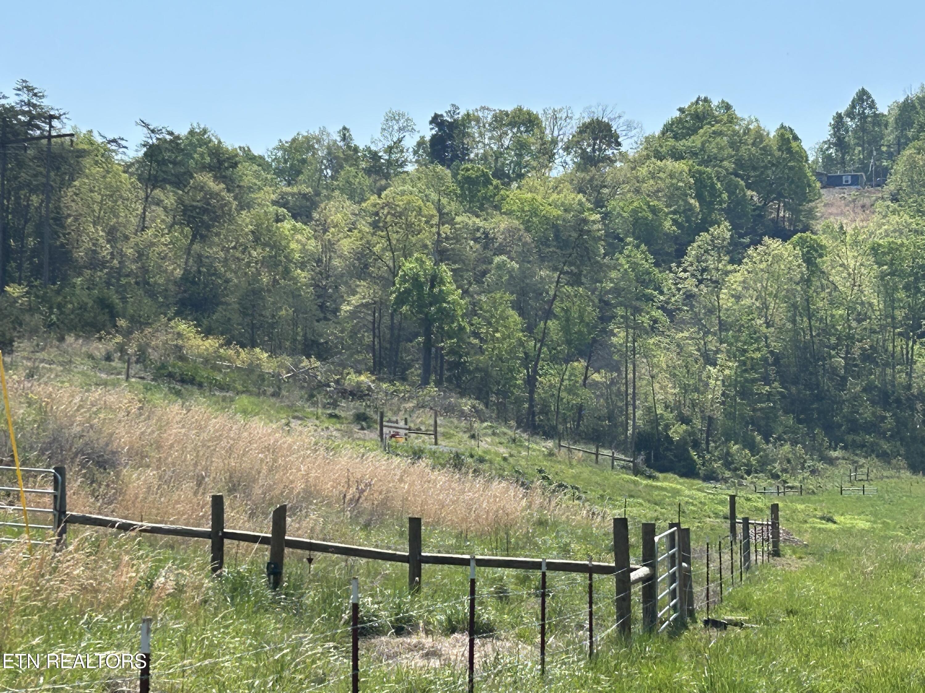 Tbd Trent Valley Road Sneedville, TN 37869 - Photo 2 of 14 IMG_6205
