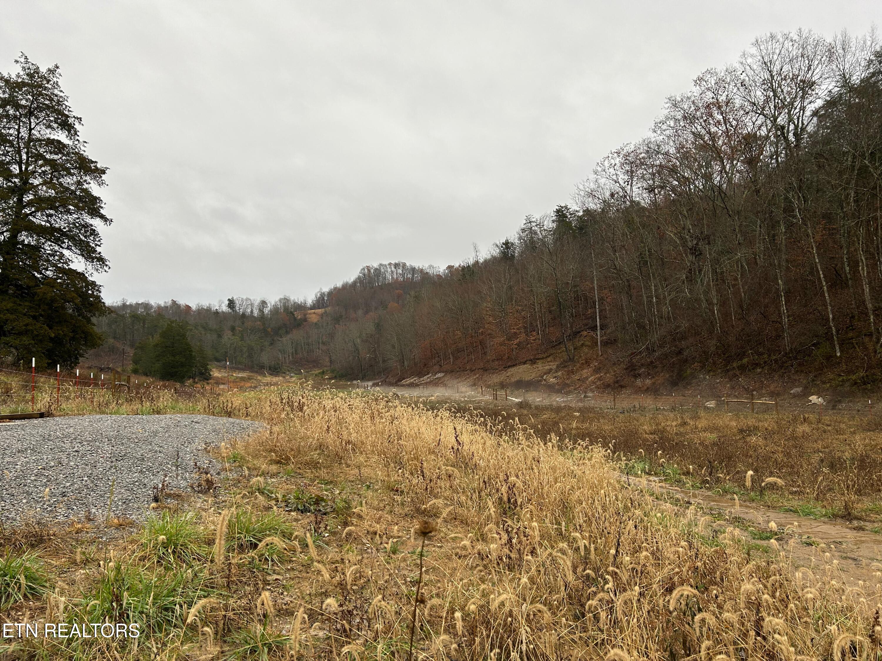 Tbd Trent Valley Road Sneedville, TN 37869 - Photo 6 of 14 IMG_4191