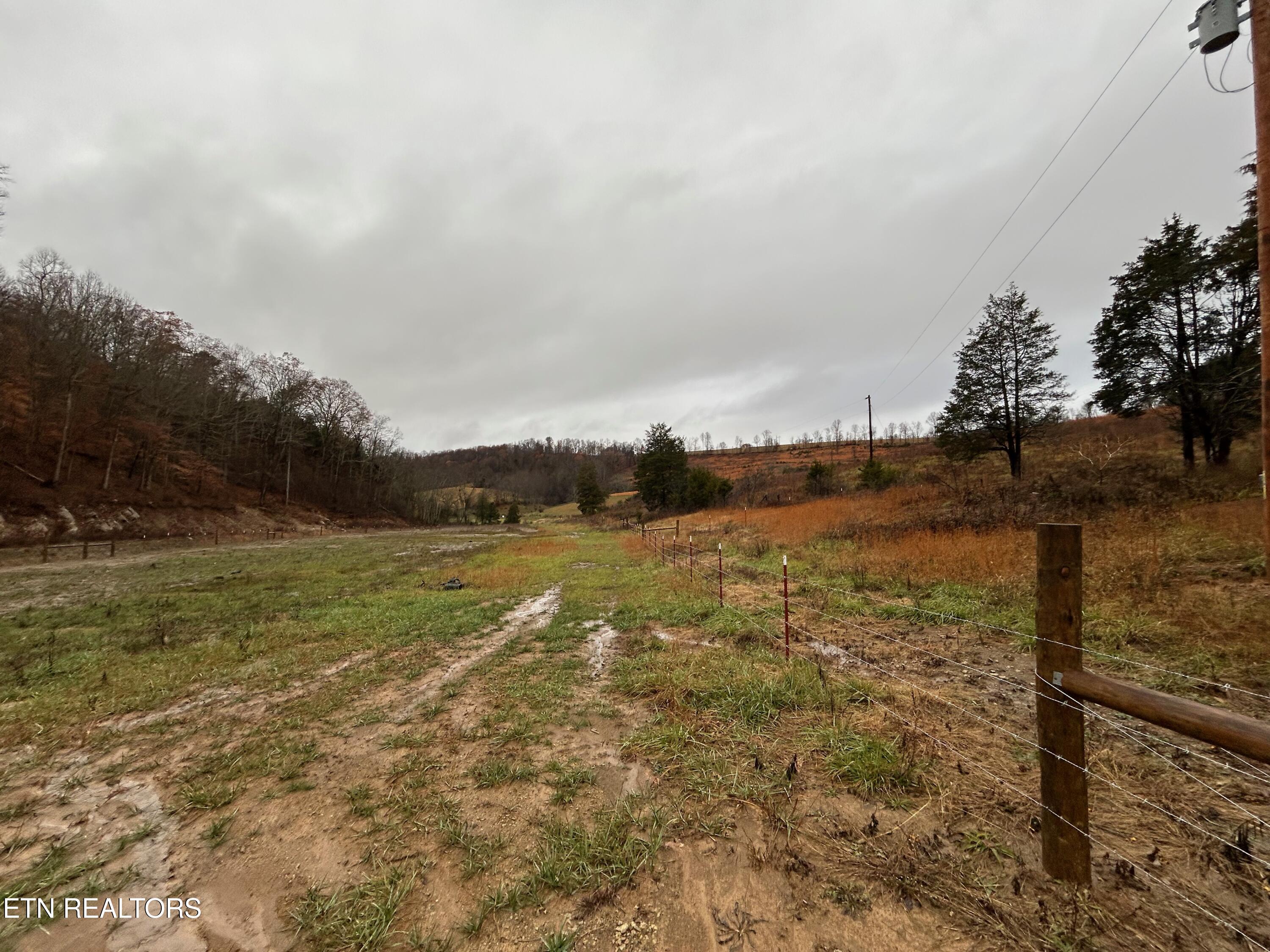 Tbd Trent Valley Road Sneedville, TN 37869 - Photo 8 of 14 IMG_4186