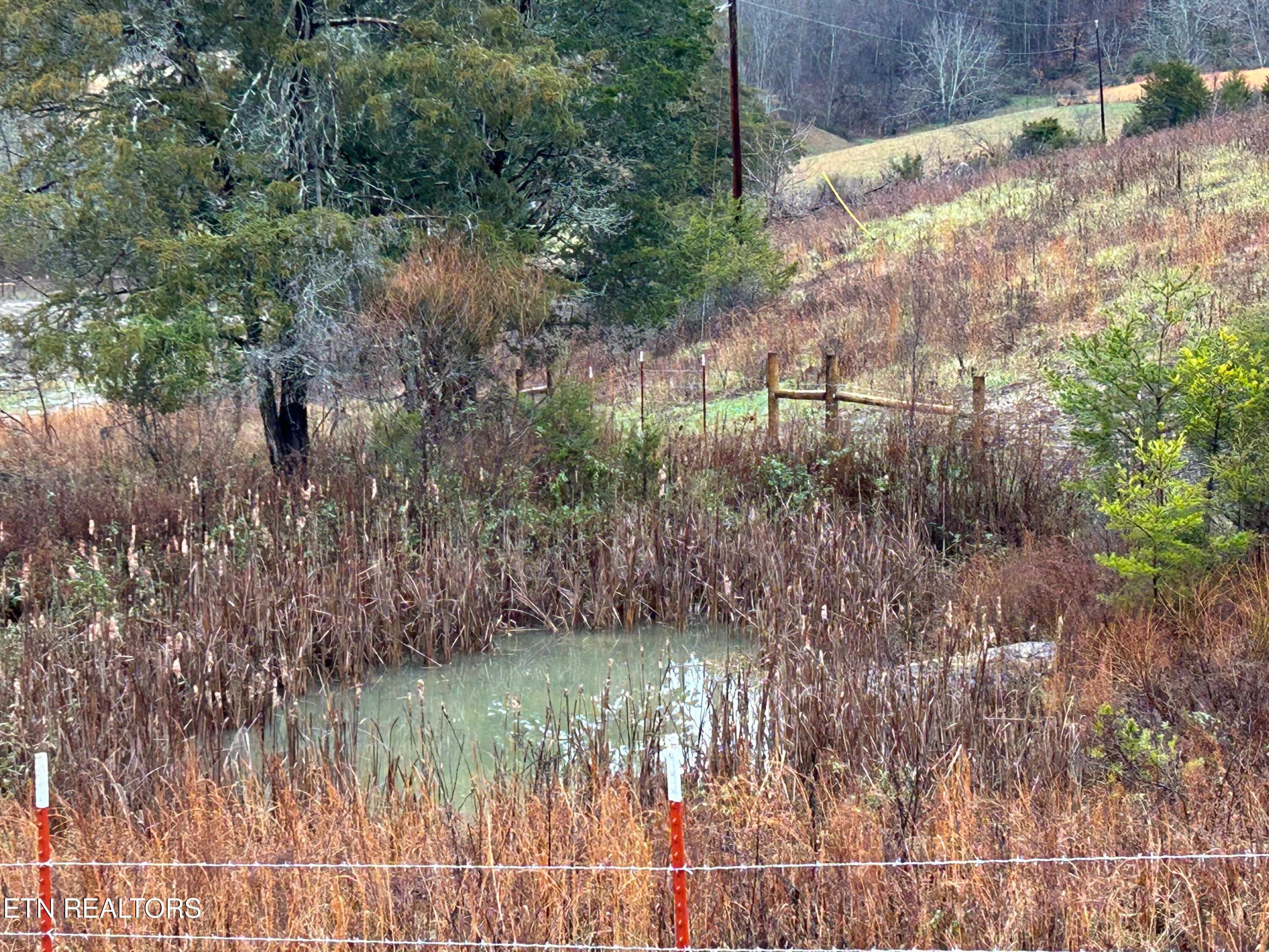 Tbd Trent Valley Road Sneedville, TN 37869 - Photo 10 of 14 IMG_4181