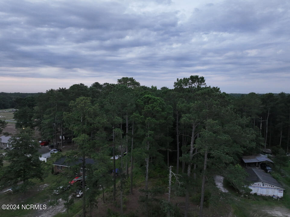 0 Meadow Road Kenly, NC 27542 - Photo 34 of 56 34