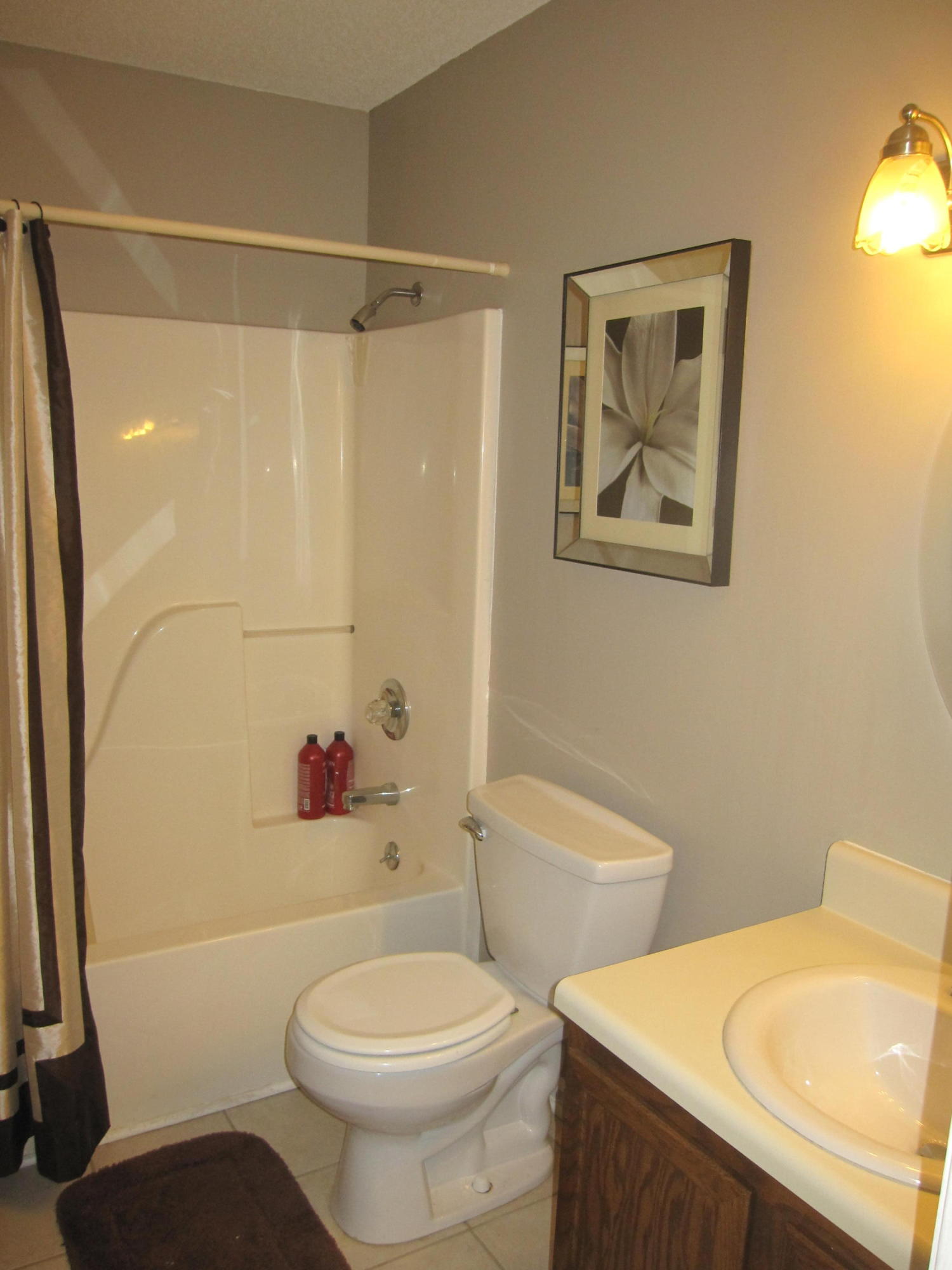 4317 Walnut Ridge Lane Knoxville, TN 37921 - Photo 13 of 15 IMG_1388